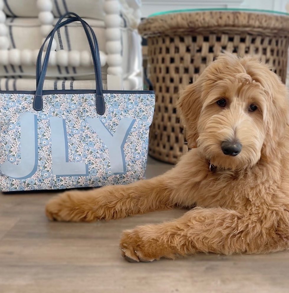 Adorable golden doodle dog with Barrington tote bags, including a blue floral monogrammed zippered tote from the monogrammed tote bags collection.