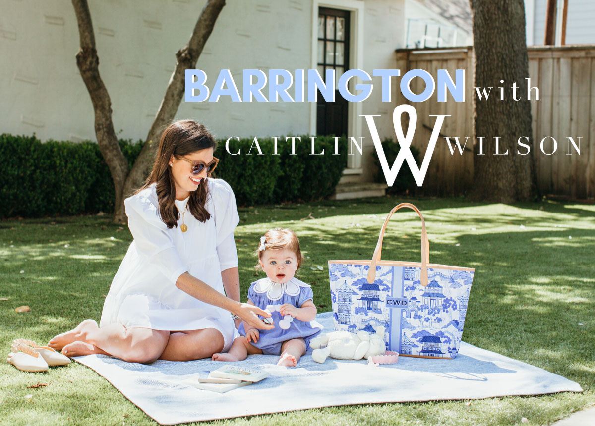 Caitlin Wilson Designer Totes & Bags