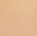 LT0104-091A-BD-NoPatch-EL